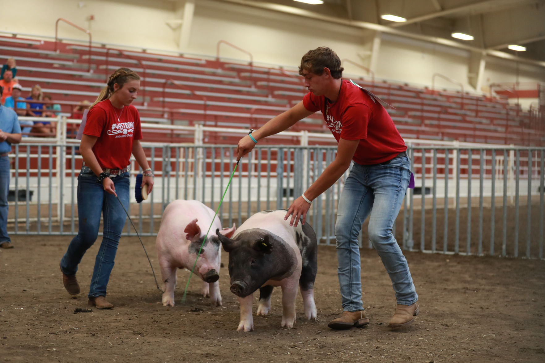 071119_HallCoFair39_bjs.JPG